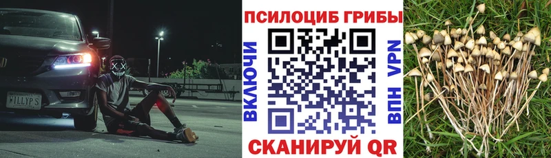 Галлюциногенные грибы мухоморы  Фёдоровский 